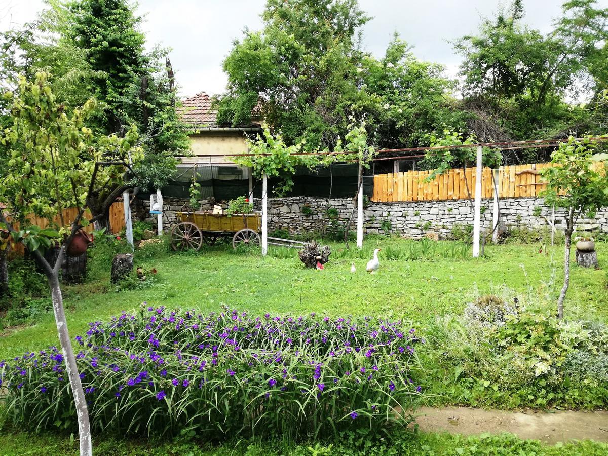 Divna Guest House Крушуна Экстерьер фото